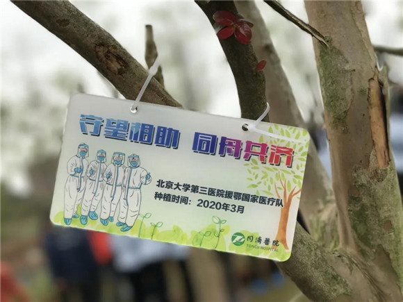 北京大学第三医院援鄂医疗队：留下来，坚决打赢疫情防控阻击战