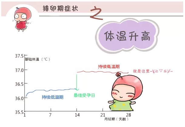 知者善谋，不如当时-监测排卵规律同房的方法