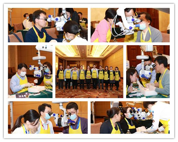 眼科参与主办第三届北京大学角膜病高峰论坛