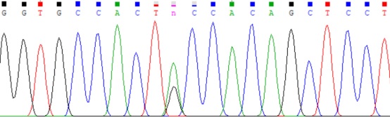 Sanger测序平台及检测项目简介