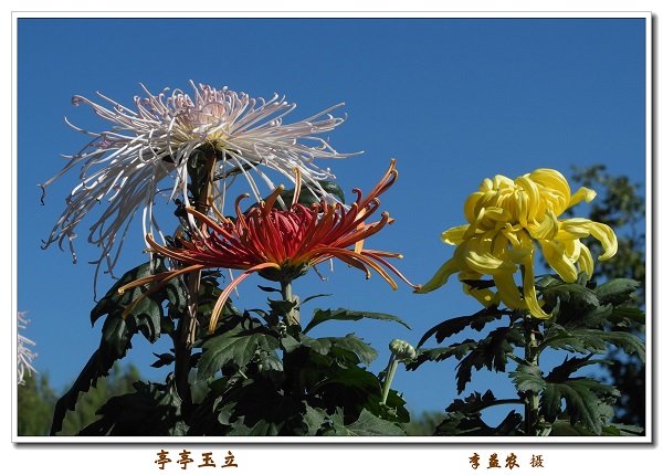 庆祝建院60周年离退休人员摄影与手工作品展