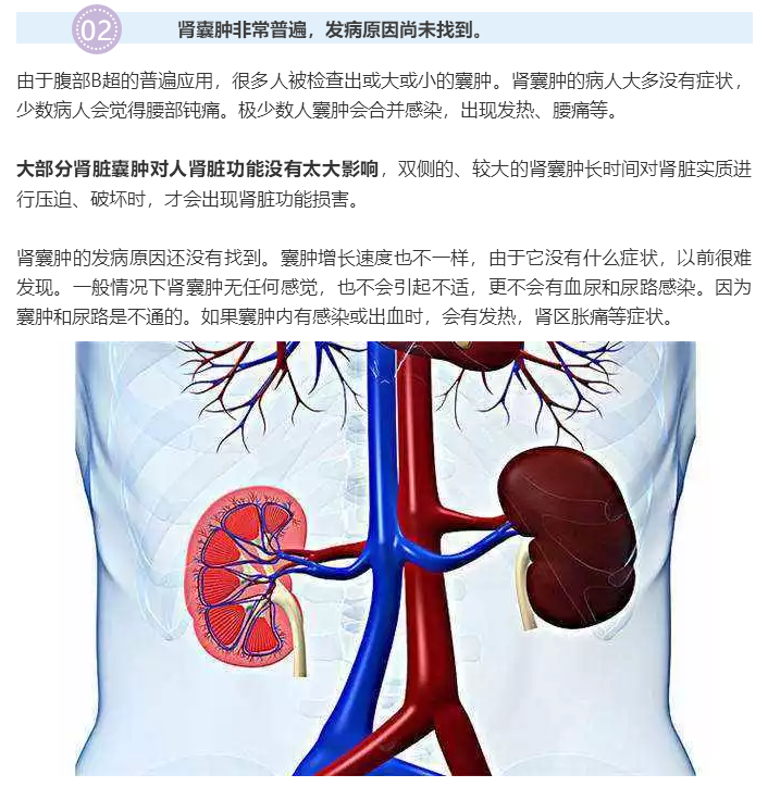 肾脏上长出的“葡萄”