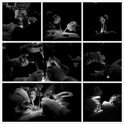 我院在北京卫生健康委举办的2019年度“好新闻”评选等系列活动中荣获多个奖项