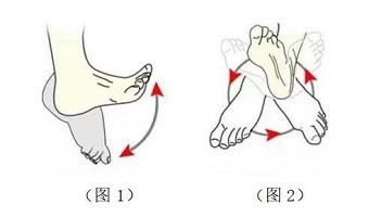 简单易行的微运动,助力您的健康!