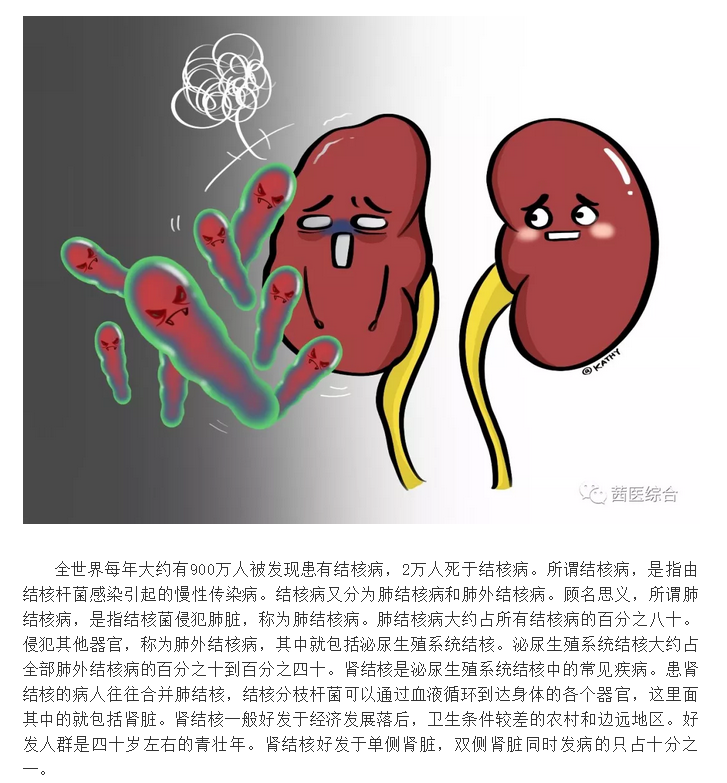 划重点！关于“肾结核”知识点都在这里