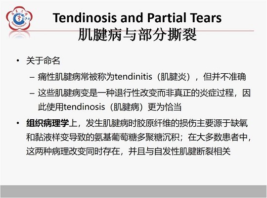 【经典超声书籍解读】肌肉骨胳超声诊断之肌腱病与部分撕裂