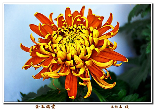 庆祝建院60周年离退休人员摄影与手工作品展