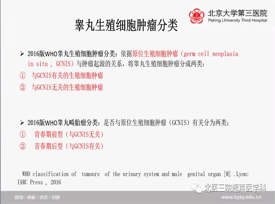 病例回顾与学习之睾丸畸胎瘤