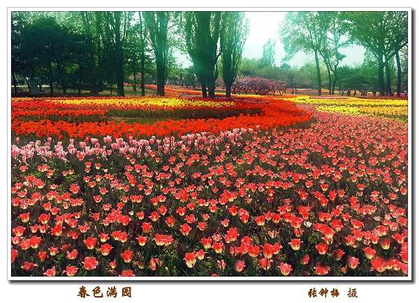 庆祝建院60周年离退休人员摄影与手工作品展