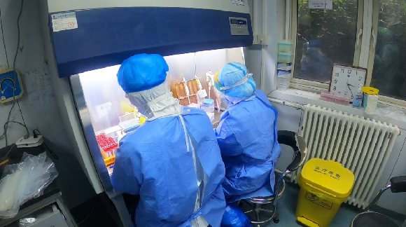 一份准确的核酸检测报告背后……