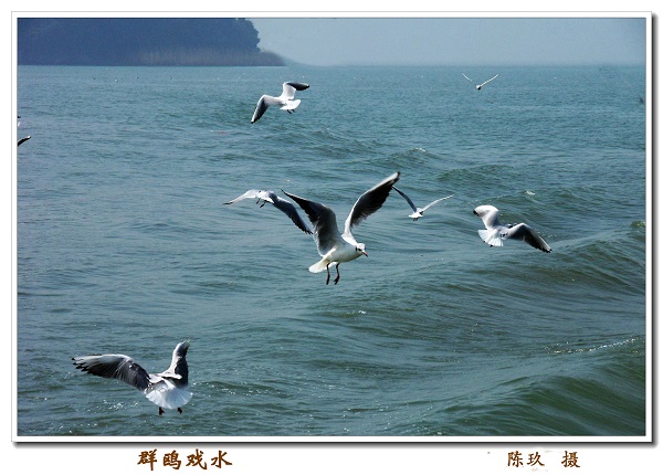 庆祝建院60周年离退休人员摄影与手工作品展