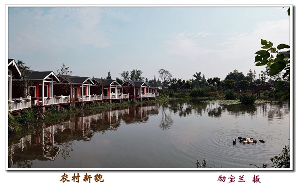 庆祝建院60周年离退休人员摄影与手工作品展