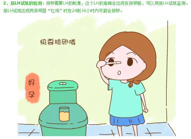 知者善谋，不如当时-监测排卵规律同房的方法