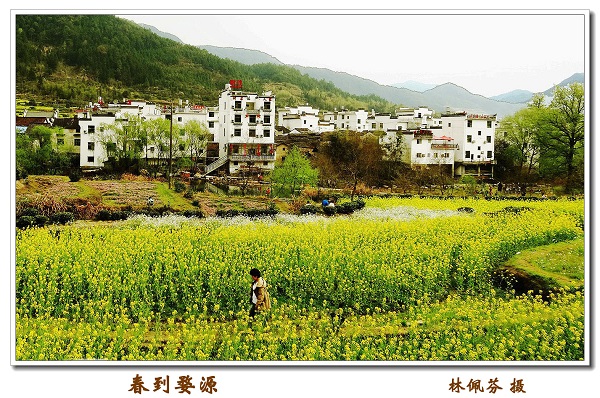 庆祝建院60周年离退休人员摄影与手工作品展