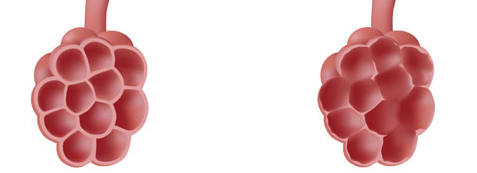 缩 唇 呼 吸 与 腹 式呼 吸