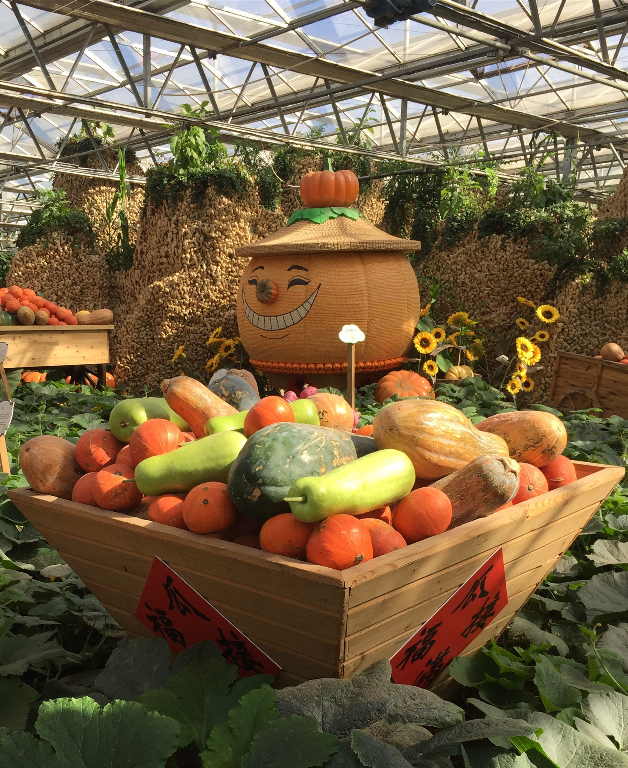 北医三院离退休党总支组织离退休党员参观第四届北京农业嘉年华