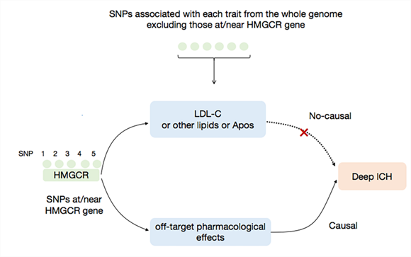 科技创新助推高质量发展 北医三院多项科技成果发表（第2期）