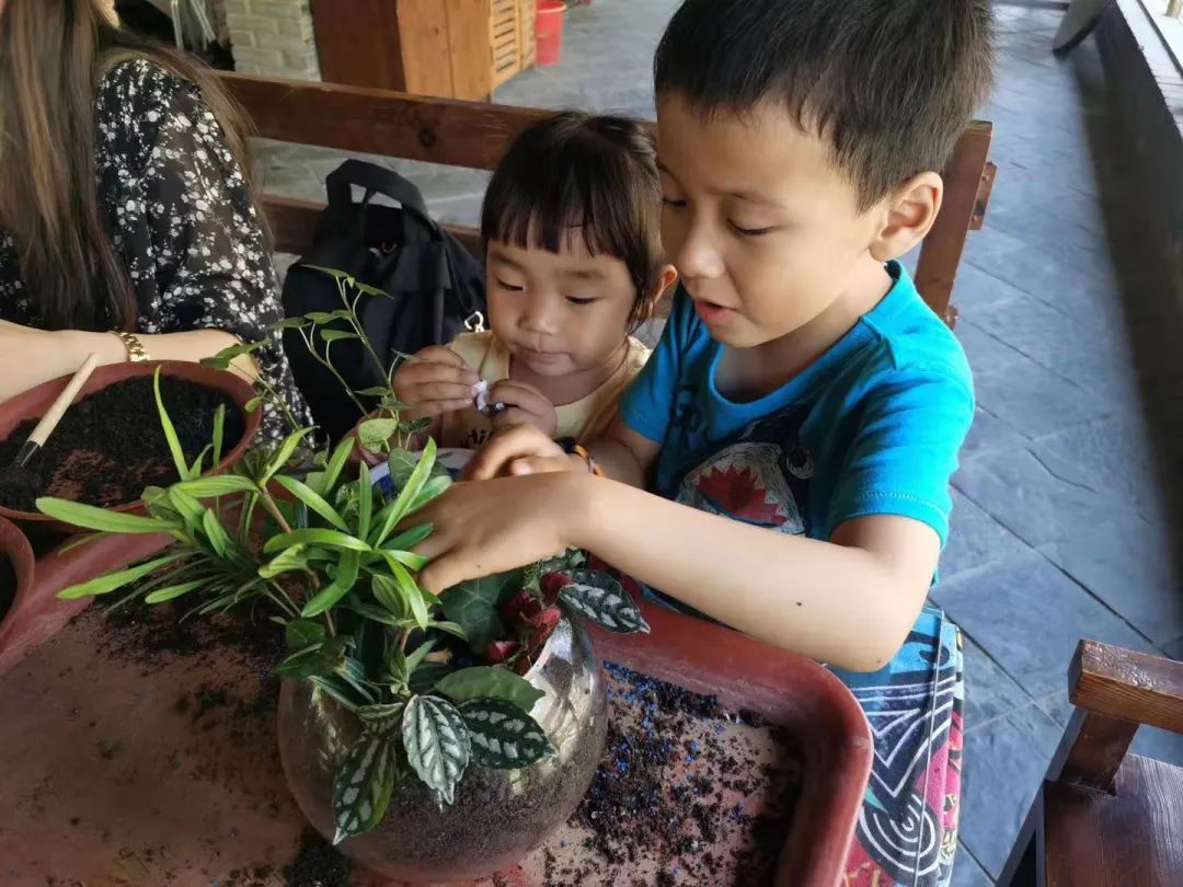 追寻夏日足迹———康复科五月红色活动