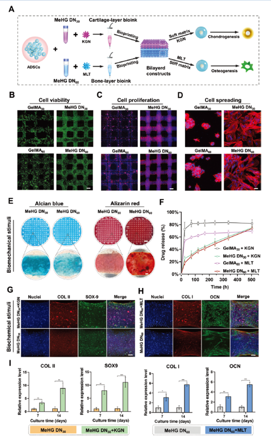 科技创新助推高质量发展 北医三院多项科技成果发表(4)
