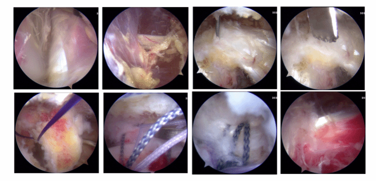 不同颜色的气球中度可信度描述已自动生成