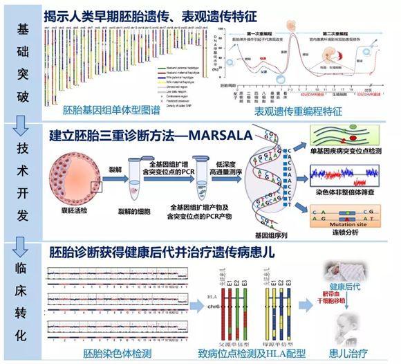 “植入前脴胎遗传诊断新方法”亮相国家“十三五”科技创新成就展