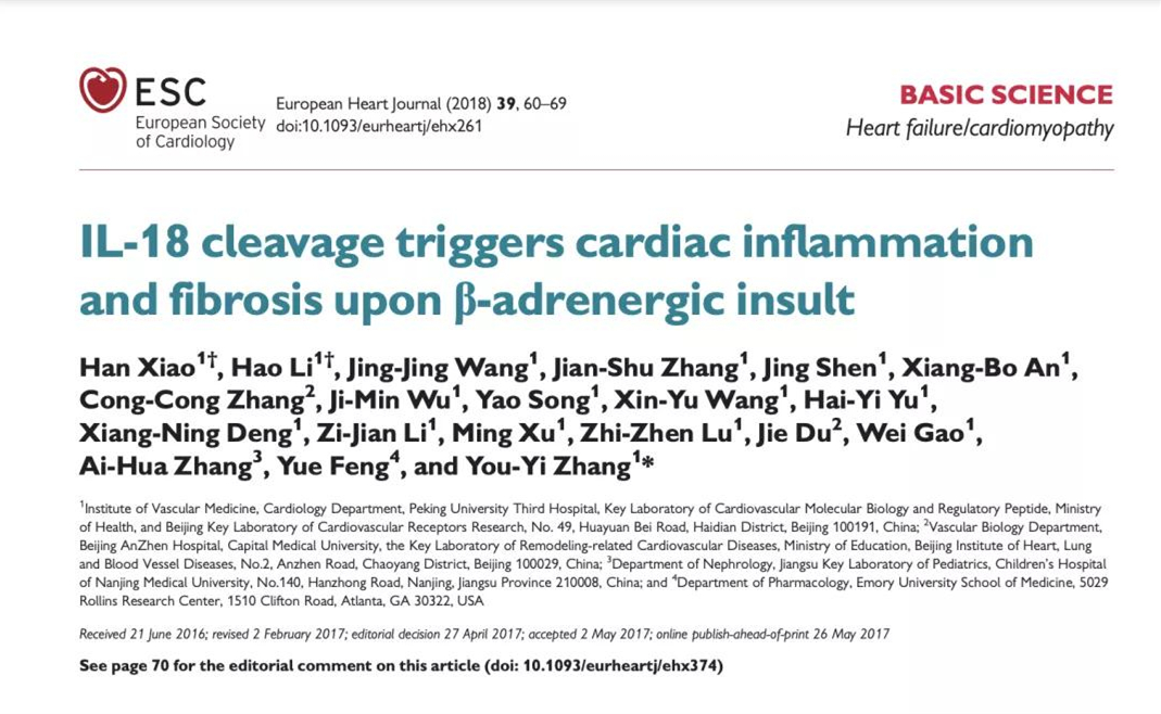 “十三五”期间中国十大心血管基础研究 北医三院心血管内科肖晗/张幼怡团队研究成果入选榜单
