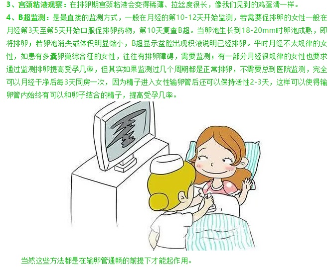 知者善谋，不如当时-监测排卵规律同房的方法