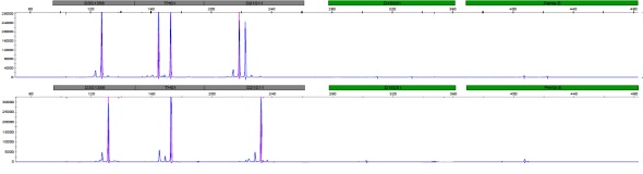 Sanger测序平台及检测项目简介