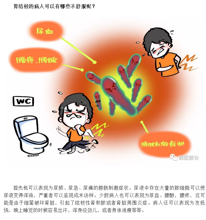 划重点！关于“肾结核”知识点都在这里