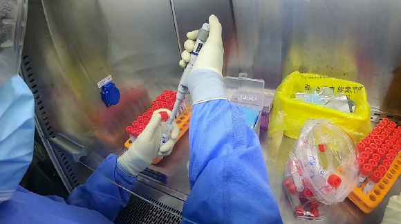 一份准确的核酸检测报告背后……