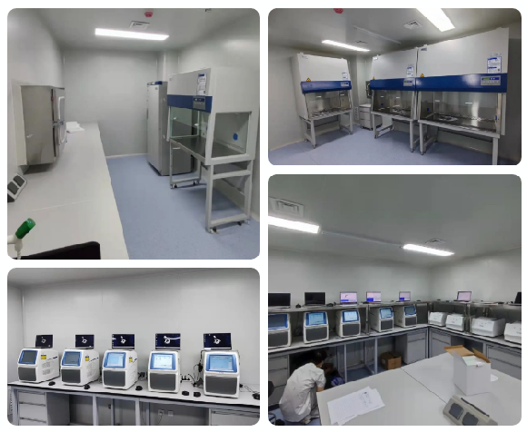 一份准确的核酸检测报告背后……