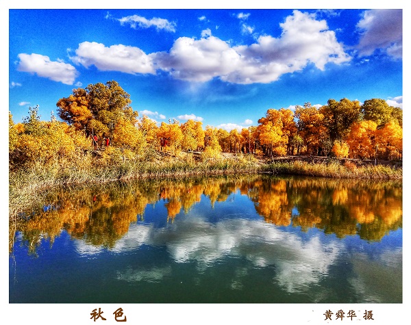 庆祝建院60周年离退休人员摄影与手工作品展