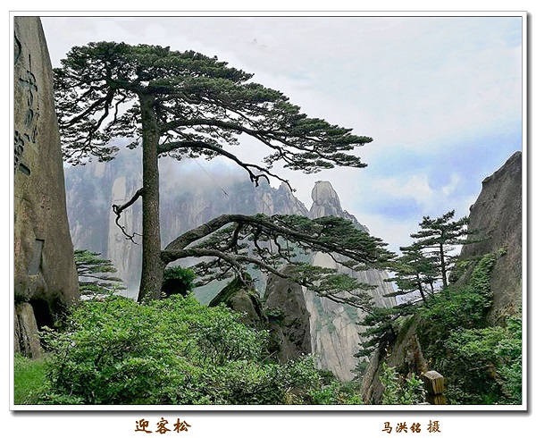 庆祝建院60周年离退休人员摄影与手工作品展