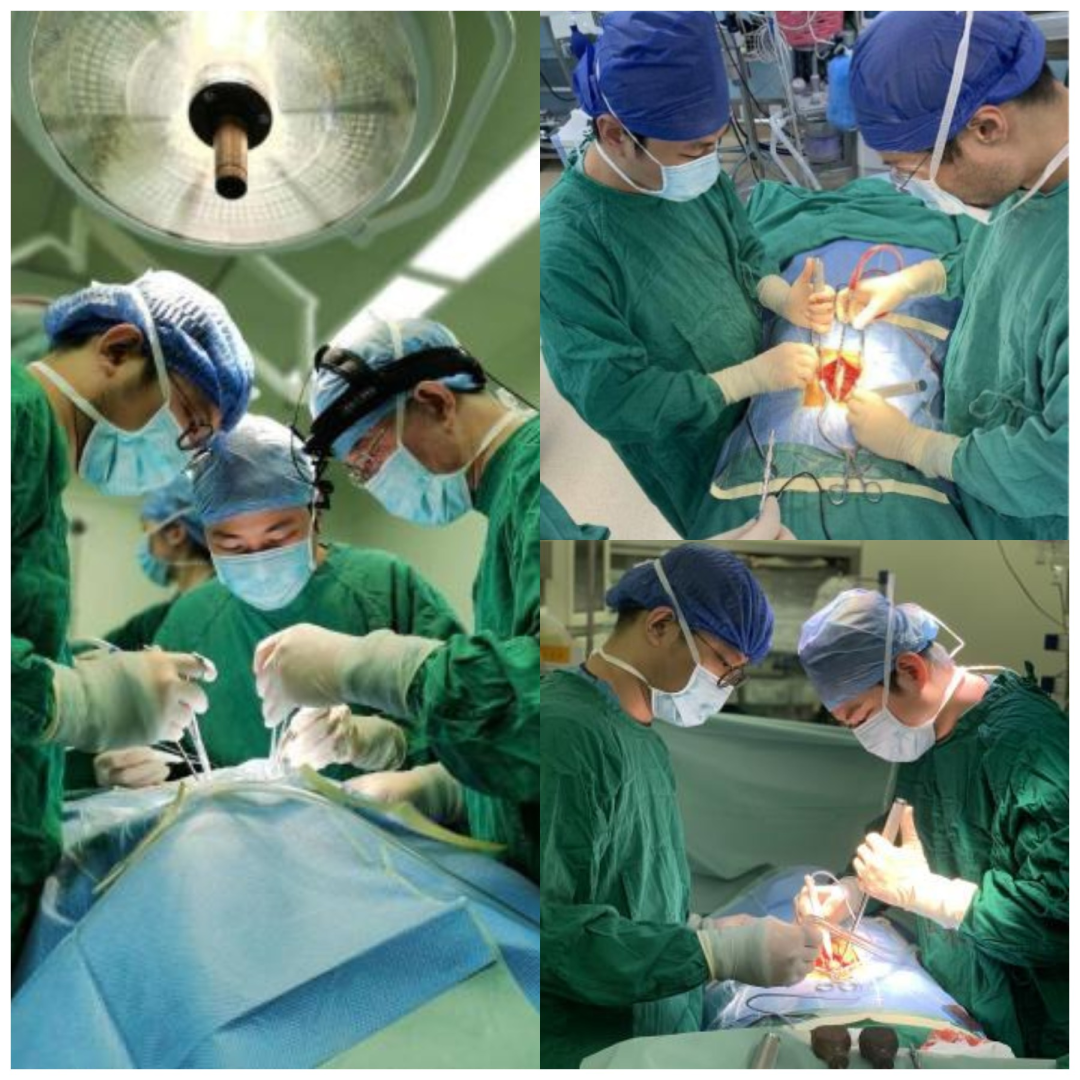 【杏林春暖，薪火相传】高研班学习心得体会第三期：陈金国