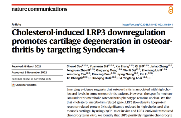 我院运动医学科胡晓青/敖英芳研究团队在Nature Communications在线发表胆固醇代谢异常导致骨关节炎机制研究成果