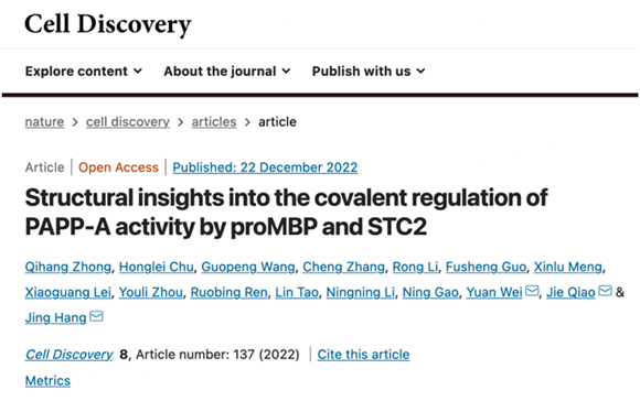 妇产科杭婧/乔杰/魏瑗研究团队Cell Discovery在线发表PAPP-A受proMBP和STC2共价调控的结构基础的研究成果