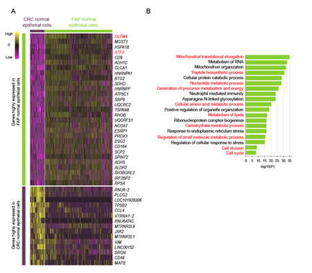 北医三院付卫研究团队与北大汤富酬研究团队合作在Gut上发表研究成果 揭示家族性腺瘤性息肉病发病机制