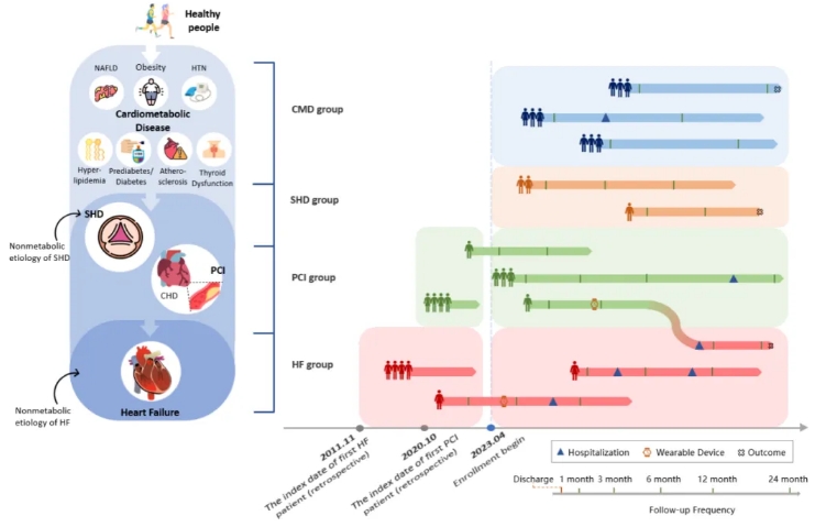 心衰分型难倒人？我国科学家突破疾病分型困境