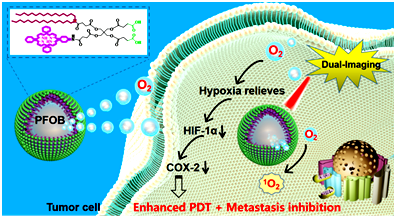 超声诊断科梁晓龙课题组在克服肿瘤乏氧提高化疗/光动力疗效方面取得重要进展