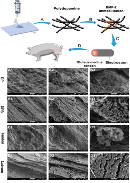 科技创新助推高质量发展 北医三院多项科技成果发表（3）